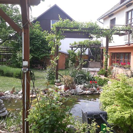 Pension Zeleny Strom Mikulov Dış mekan fotoğraf